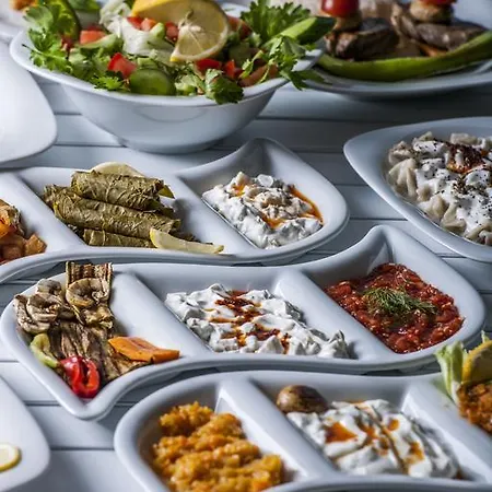 瑟利米耶酒店 酒店 3*